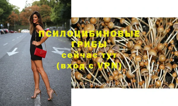 круглые Абаза