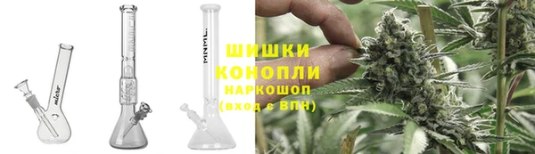 гидра Алексин