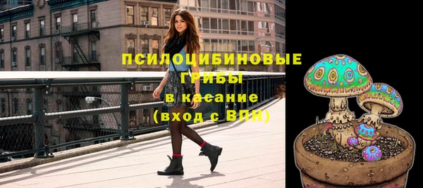 Альфа ПВП Алзамай