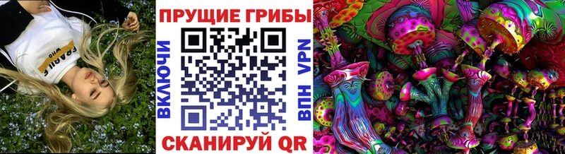 kraken ссылки  дарк нет телеграм  Галлюциногенные грибы прущие грибы  наркота  Бежецк 